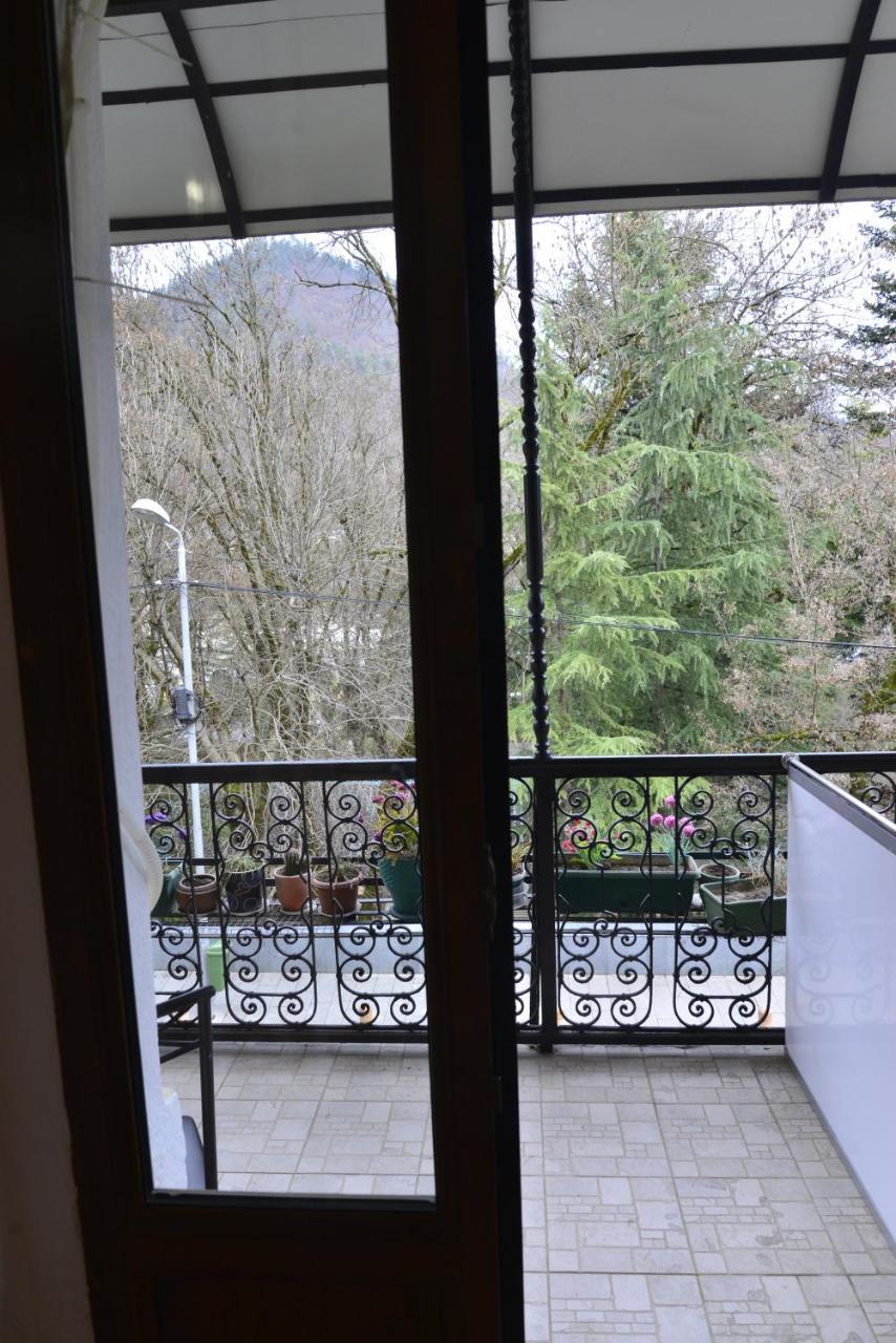 Hotel Victoria Borjomi Luaran gambar